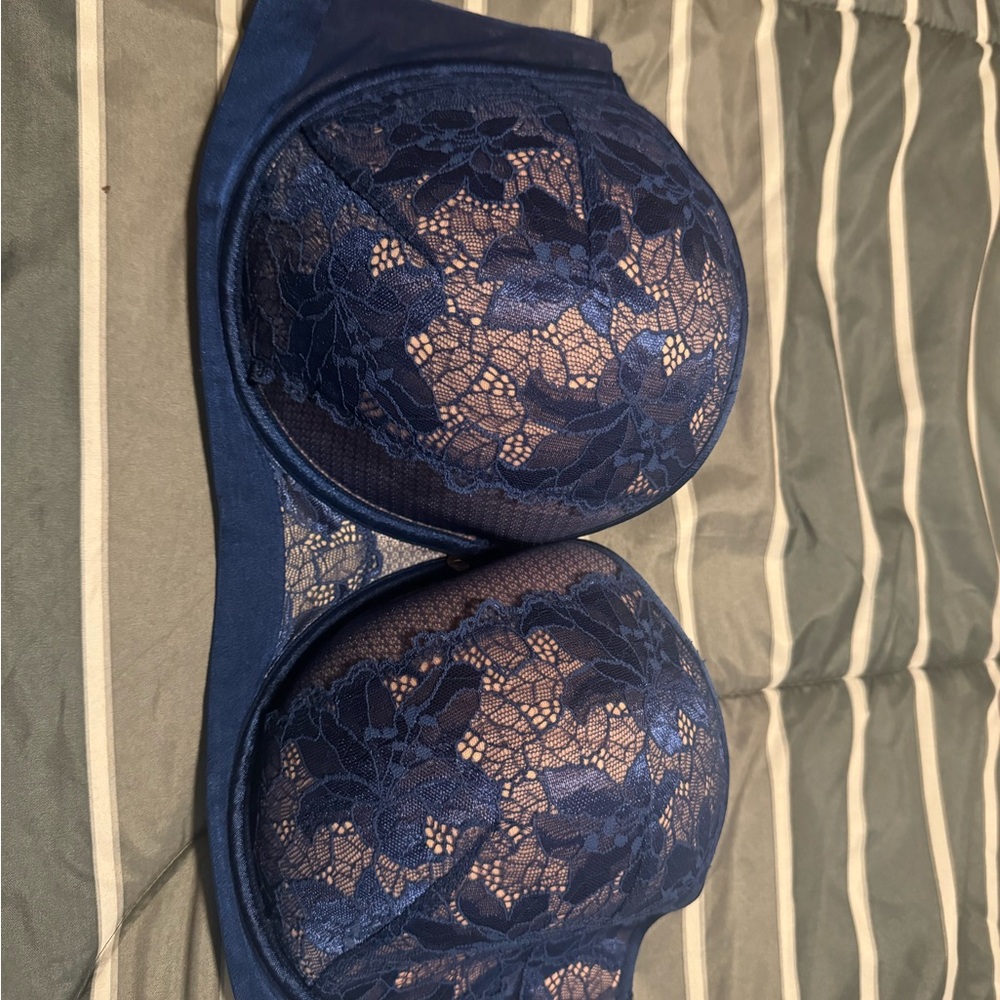 Elegant Blue Lace Bra